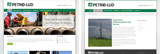Petro-Lud website sample